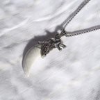 Large Pendant Titanium Necklace